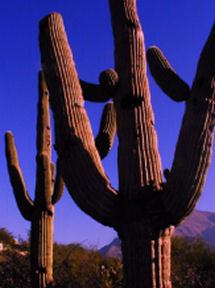 SANTA FE