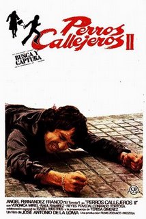 PERROS CALLEJEROS